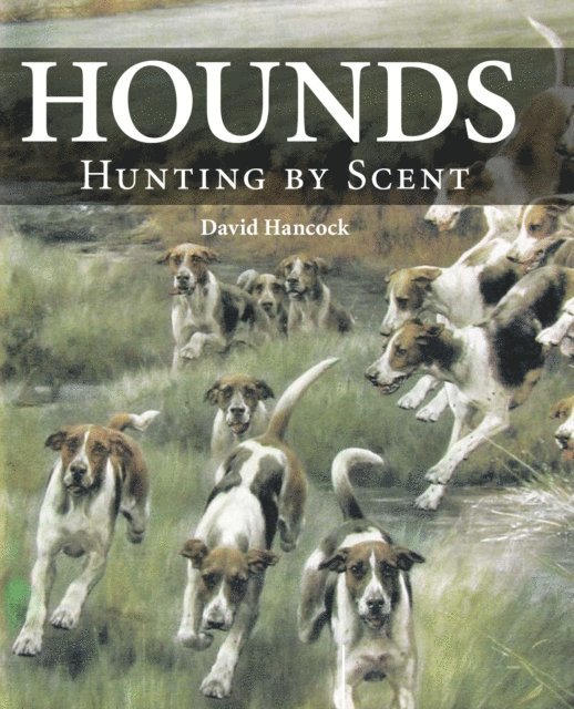 David Hancock - Hounds, E-bok