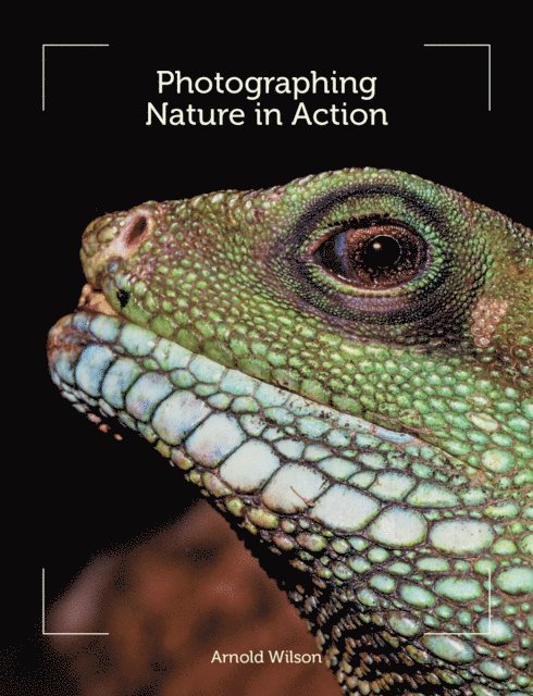 Arnold Wilson - Photographing Nature in Action, E-bok