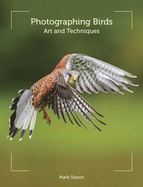 Mark Sisson - Photographing Birds, E-bok