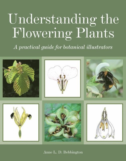 Anne Bebbington - Understanding the Flowering Plants, E-bok