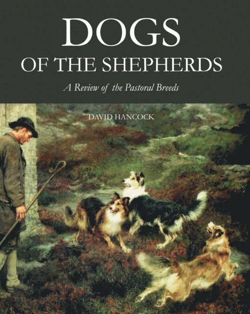 David Hancock - Dogs of the Shepherds, E-bok