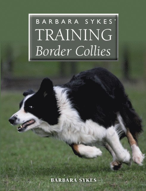 Barbara Sykes - Barbara Sykes' Training Border Collies, E-bok. Tillgänglighet: Lägg i varukorg