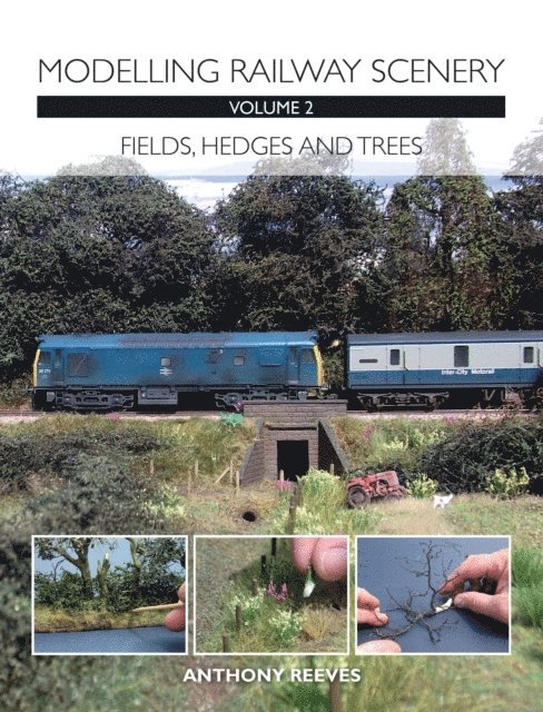 Anthony Reeves - Modelling Railway Scenery Volume 2, E-bok