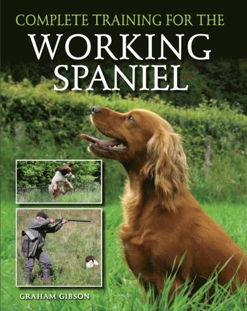 Graham Gibson - Complete Training for the Working Spaniel, E-bok