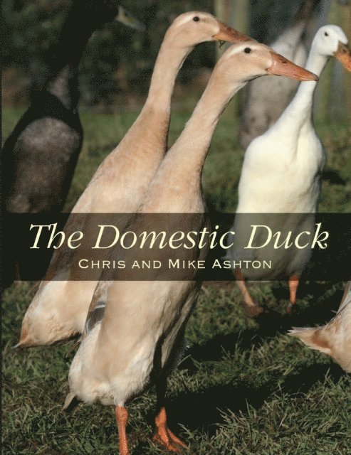 Chris and Mike Ashton - Domestic Duck, E-bok