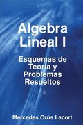 Algebra Lineal I - Esquemas De Teoria Y Problemas Resueltos