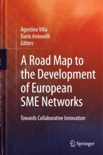 Dario Antonelli, Agostino Villa - Road Map to the Development of European SME Networks, E-bok