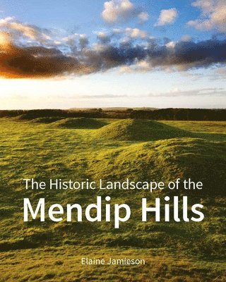 Elaine Jamieson - The Historic Landscape of the Mendip Hills, Inbunden. Tillgänglighet: Tillfälligt slut