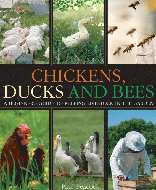 Paul Peacock - Chickens, Ducks and Bees, E-bok