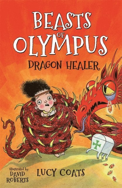 Lucy Coats - Dragon Healer, E-bok