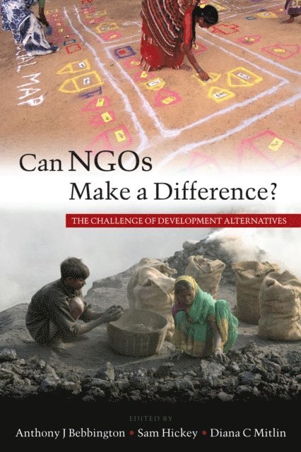 Anthony J. Bebbington, Samuel Hickey, Diana C. Mitlin - Can NGOs Make a Difference?, E-bok
