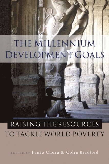 Fantu Cheru, Colin Bradford Jr. - Millennium Development Goals, E-bok