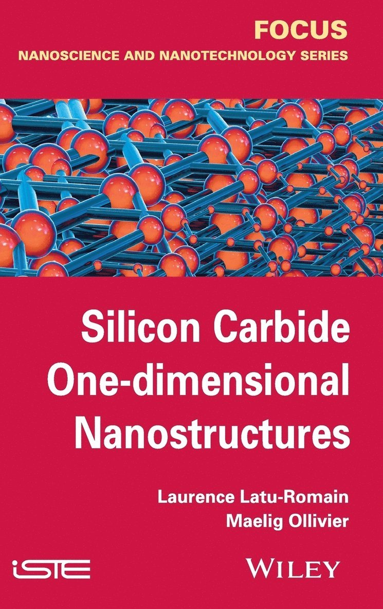 Silicon Carbide One-dimensional Nanostructures