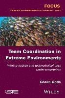Team Coordination in Extreme Environments