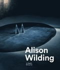 Alison Wilding