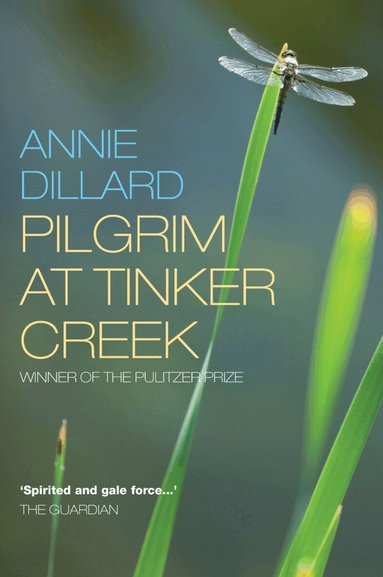 Annie Dillard - Pilgrim at Tinker Creek, Häftad