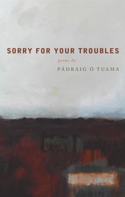 Padraig O Tuama - Sorry For Your Troubles, E-bok