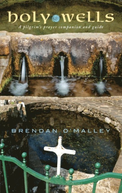 Brendan O'Malley - Holy Wells, E-bok