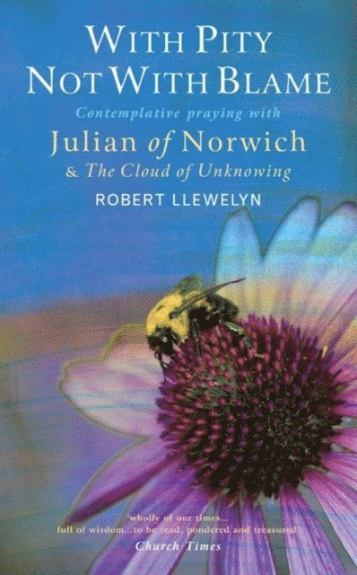 Robert Llewelyn - With Pity Not With Blame, E-bok
