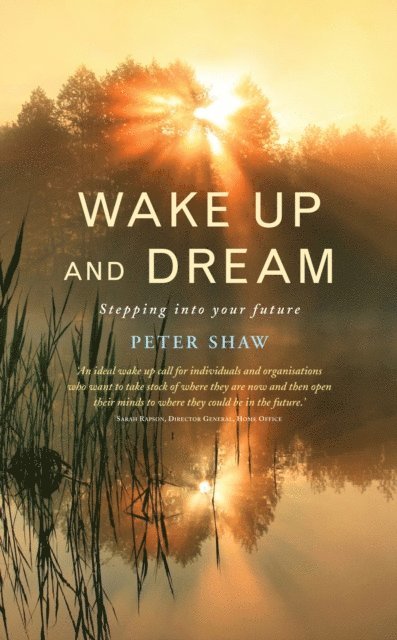 Peter Shaw - Wake Up and Dream, E-bok