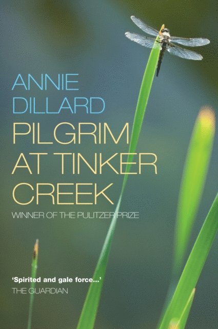 Annie Dillard - Pilgrim at Tinker Creek, E-bok