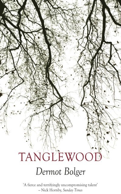 Dermot Bolger - Tanglewood, E-bok