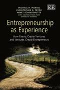 Entrepreneurship as Experience