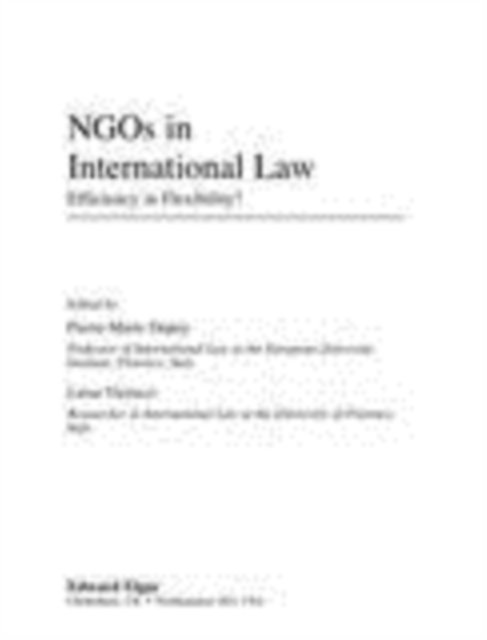 Luisa Vierucci, Pierre-Marie Dupuy - NGOs in International Law, E-bok