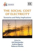 Social Cost of Electricity