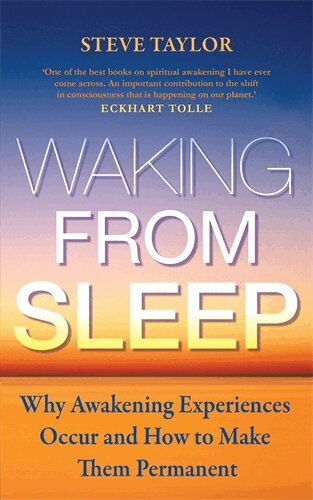 Steve Taylor - Waking from Sleep, Häftad
