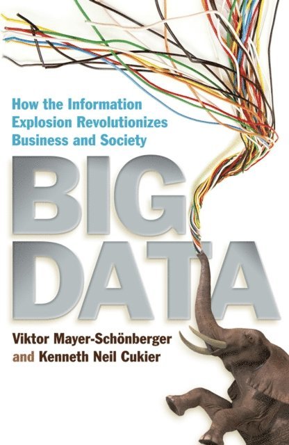 Kenneth Cukier, Viktor Mayer-Schonberger - Big Data, E-bok