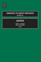 Jody Clay-Warner, Karen A. Hegtvedt - Justice, E-bok