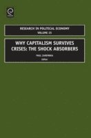 Paul Zarembka - Why Capitalism Survives Crises, E-bok