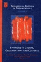 Neal M. Ashkanasy, Wilfred J. Zerbe, Charmine E. J. Hartel - Emotions in Groups, Organizations and Cultures, E-bok