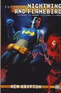 Superman: v. 1 Nightwing and Flamebird