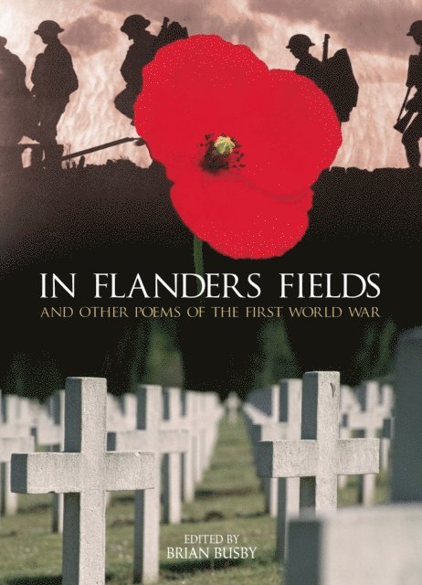 Brian Busby - In Flanders Fields, E-bok