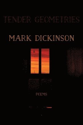 Mark Dickinson - Tender Geometries, Häftad
