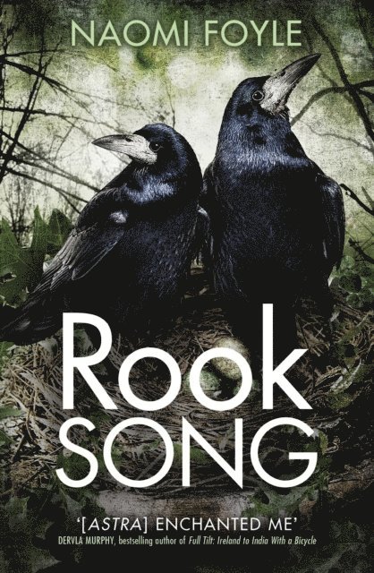 Naomi Foyle - Rook Song, E-bok