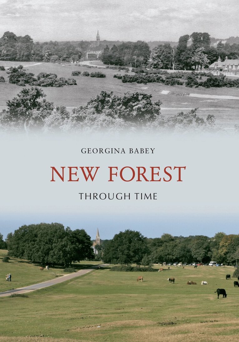 Georgina Babey - New Forest Through Time, Häftad
