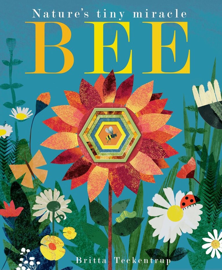 Patricia Hegarty - Bee, Häftad