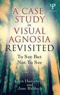 A Case Study in Visual Agnosia Revisited