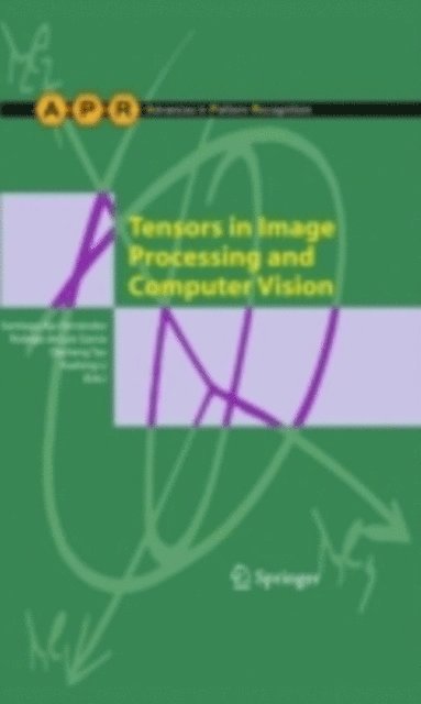 Xuelong Li, Dacheng Tao, Rodrigo de Luis Garcia, Santiago Aja-Fernandez - Tensors in Image Processing and Computer Vision, E-bok