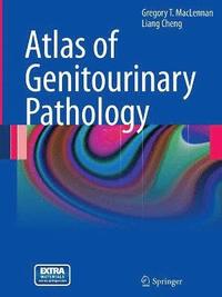 Atlas of Genitourinary Pathology