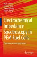 Electrochemical Impedance Spectroscopy in PEM Fuel Cells