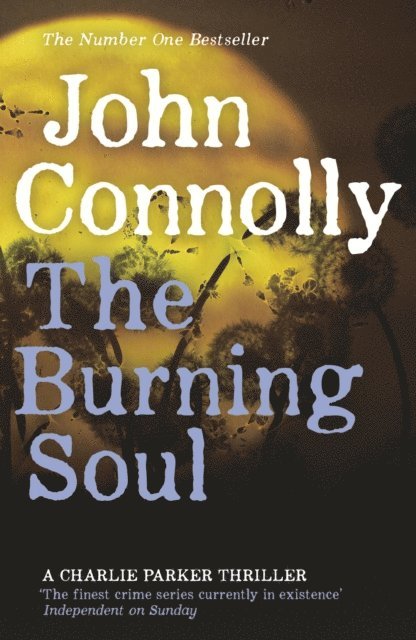 John Connolly - Burning Soul, E-bok