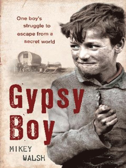 Mikey Walsh - Gypsy Boy, E-bok