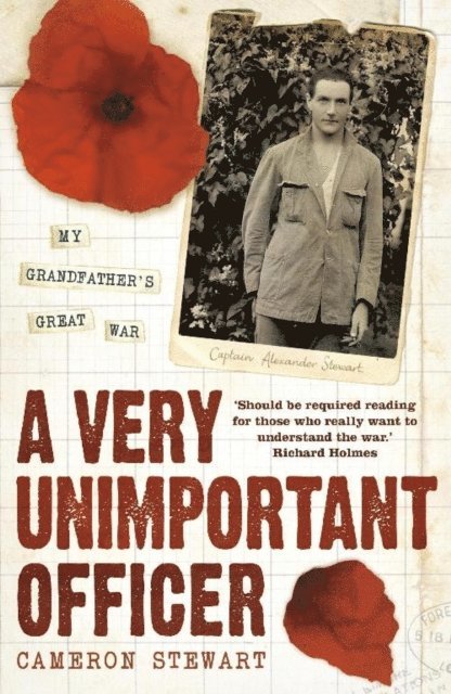 Alexander Stewart, Cameron Stewart, Captain Alexander Stewart - Very Unimportant Officer, E-bok