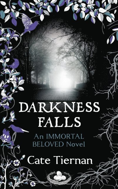 Cate Tiernan - Darkness Falls (Immortal Beloved Book Two), E-bok