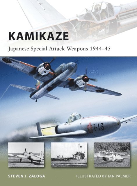 Steven J. Zaloga - Kamikaze, E-bok