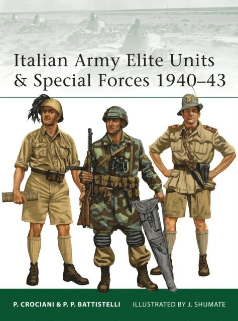 Pier Paolo Battistelli - Italian Army Elite Units & Special Forces 1940–43, E-bok